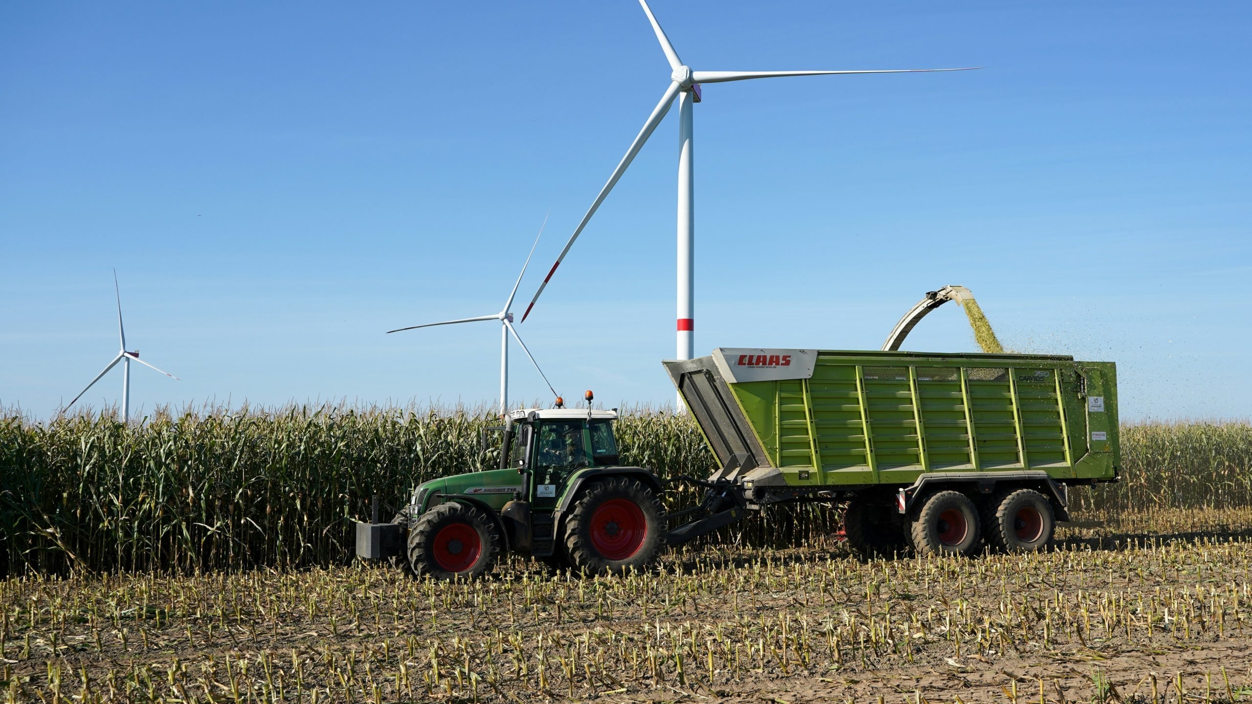 Bio fuel feedstocks